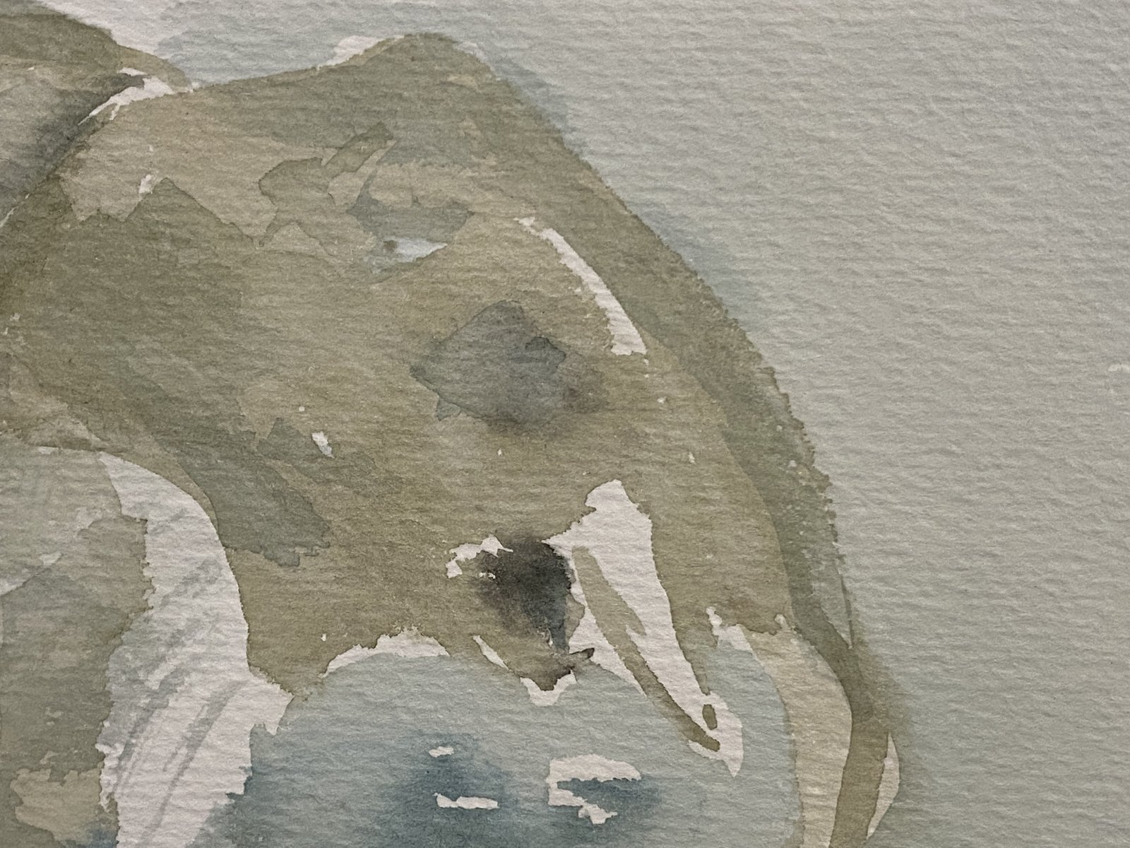 Elefant 2