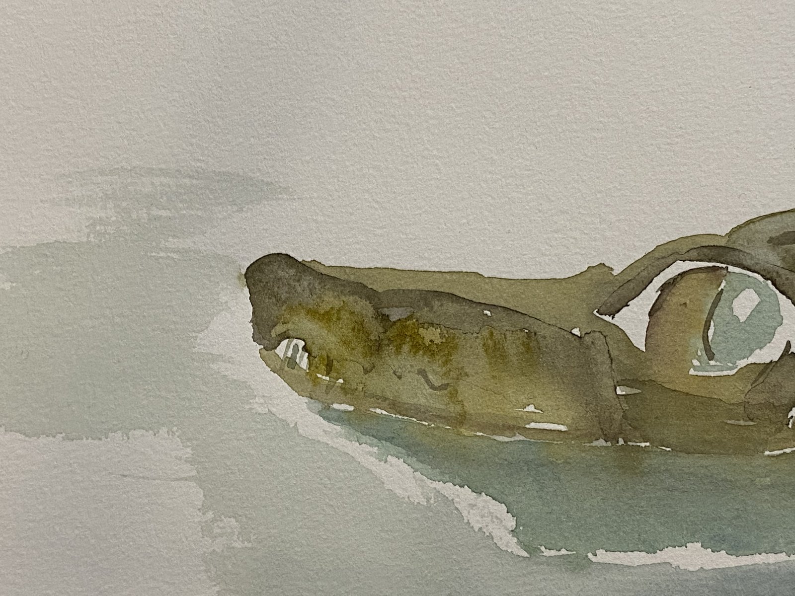 Kleines Krokodil – Charles Mills 2