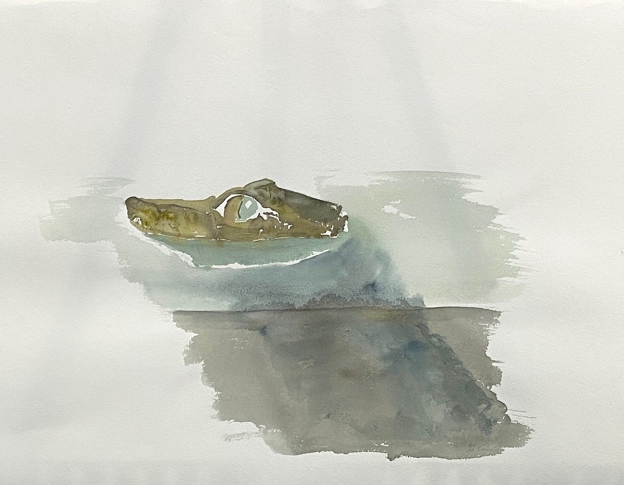 Kleines Krokodil von Charles Mills