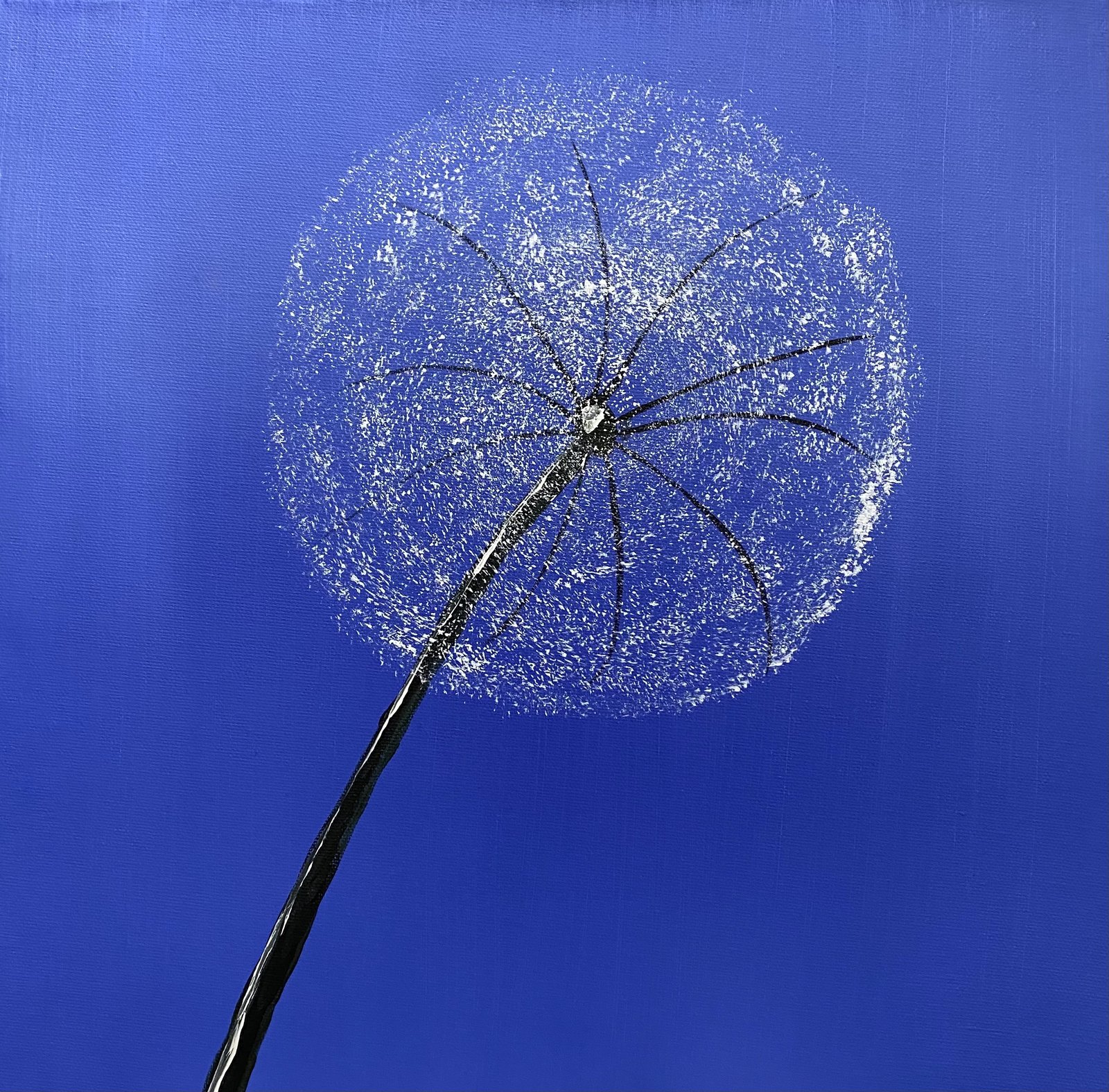 Pusteblume blau