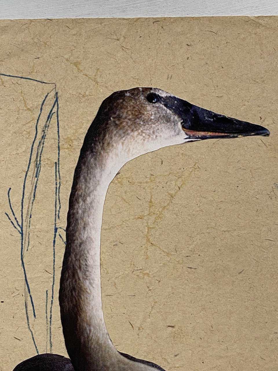 Der Schwan 2