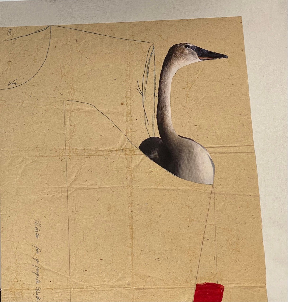 Der Schwan von Katharina Reusch