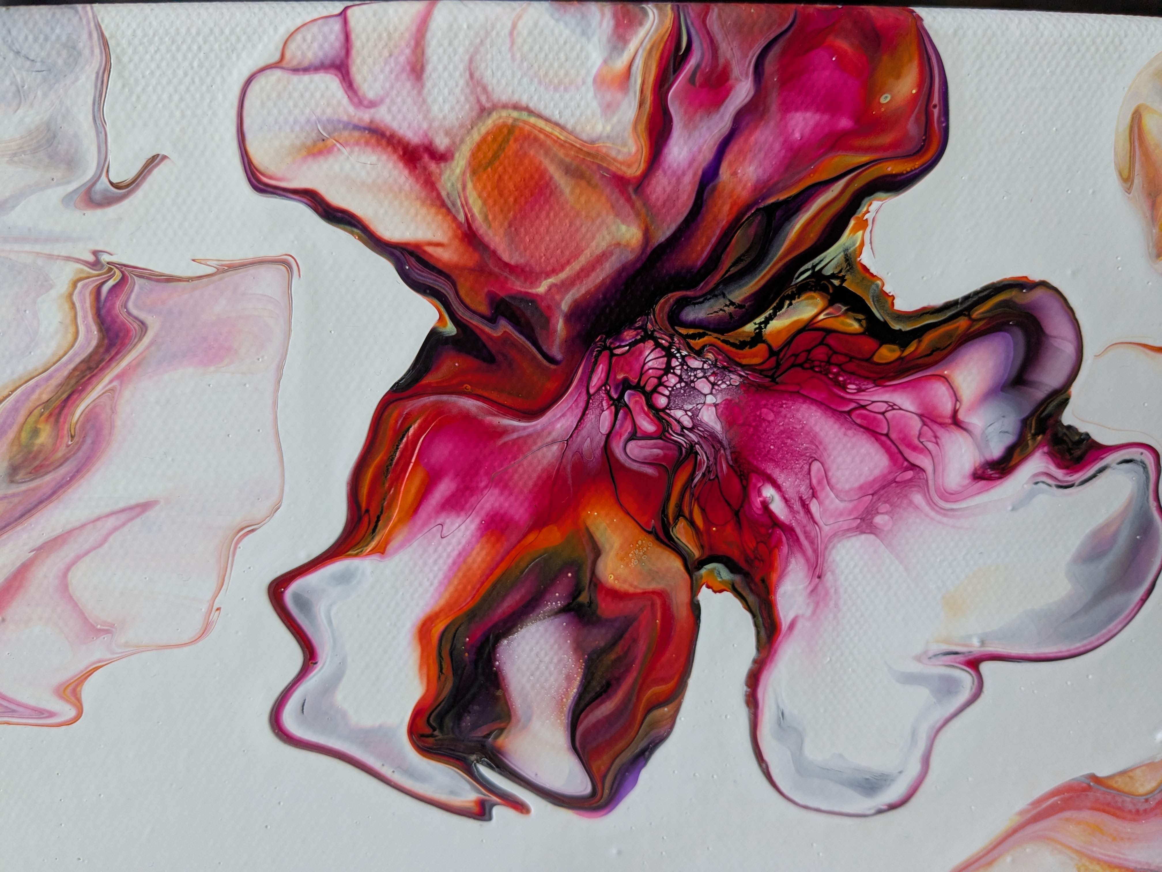 Flower Meadow – Mary Gazea 5