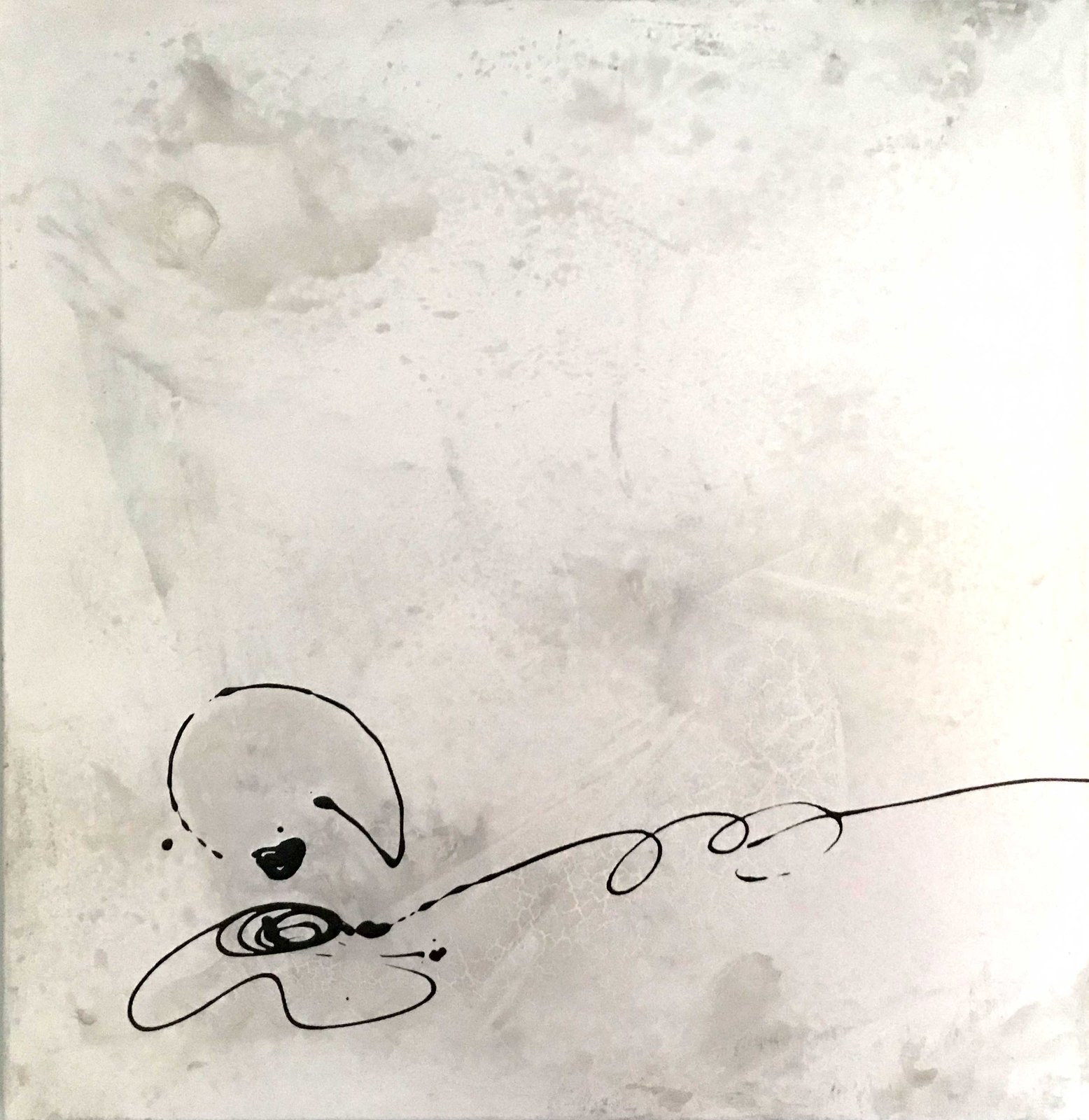 Gassi 2